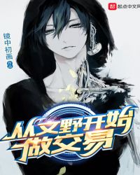 从文野开始做交易章节列表