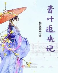 青叶追光记章节列表