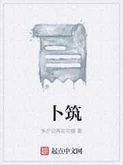 卜筑章节列表