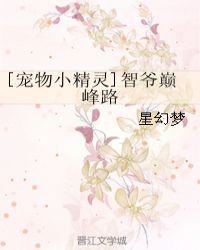 [宠物小精灵]智爷巅峰路章节列表