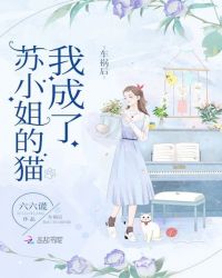 车祸后我成了苏小姐的猫章节列表