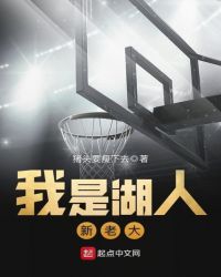 我是湖人新老大章节列表