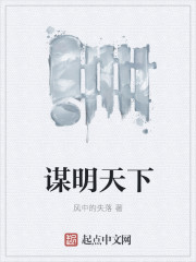 谋明天下章节列表