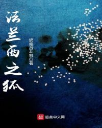 法兰西之狐章节列表