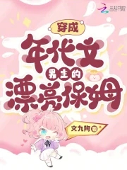 穿成年代文男主的漂亮保姆章节列表