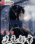次元都市章节列表