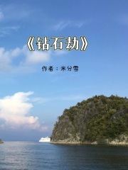钻石劫章节列表