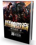魔兽微商章节列表