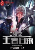 DNF之王者归来章节列表