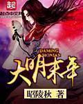 大明末年章节列表