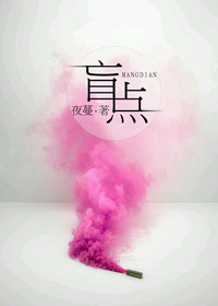 盲点章节列表