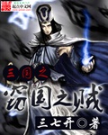 三国之窃国之贼章节列表
