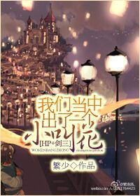 [综]我们当中出了一个小叫花章节列表