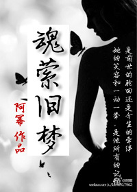 魂萦旧梦章节列表