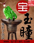 宝玉瞳章节列表