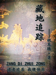 藏地追踪章节列表