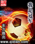 我是冠军章节列表