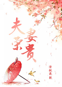 夫荣妻贵章节列表