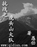 抗战之虎头山大队章节列表