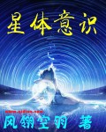 星体意识章节列表