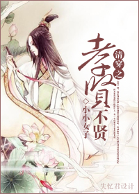 清穿之孝贤不贤章节列表