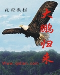 大鹏归来章节列表