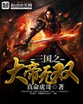 三国之大帝无双章节列表