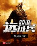 中国远征兵章节列表