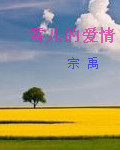 雪儿的爱情章节列表