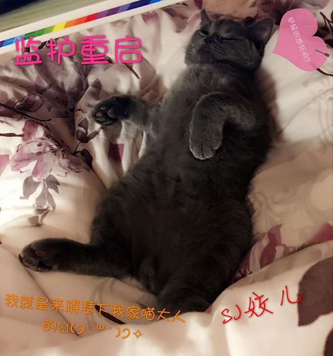 监护重启章节列表
