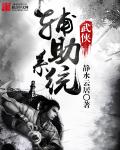 武侠辅助系统章节列表
