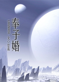 奉子婚章节列表