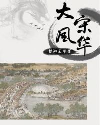 大宋风华章节列表