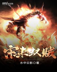 宋未蚁贼章节列表