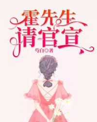 霍先生，请官宣章节列表