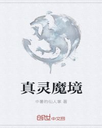 真灵魔境章节列表