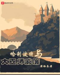 哈利波特与大巫师威廉章节列表