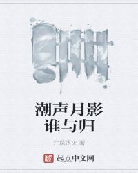 潮声月影谁与归章节列表