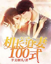 宠上云端：机长追妻100式章节列表