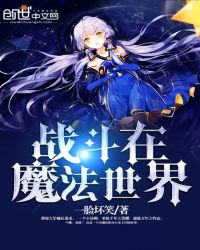 战斗在魔法世界章节列表
