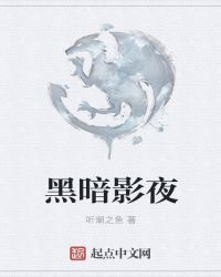 黑暗影夜章节列表