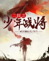 三国之少年战将章节列表