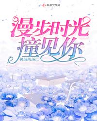漫步时光撞见你章节列表