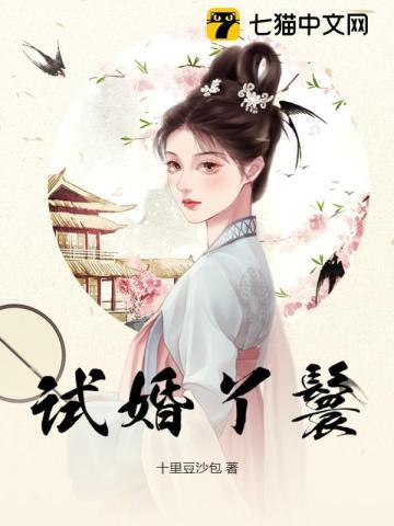 试婚丫鬟章节列表