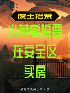 废土拾荒小菜鸟誓要在安全区买房章节列表