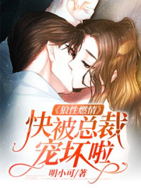 宋乔夏殷厉霆章节列表