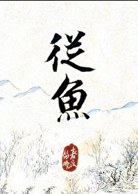 从鱼章节列表