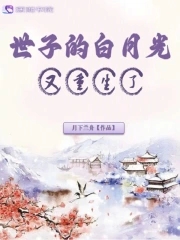 世子的白月光又重生了章节列表