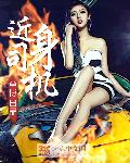 近身司机章节列表