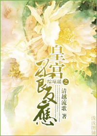 综琼瑶之皇宫不良反应章节列表